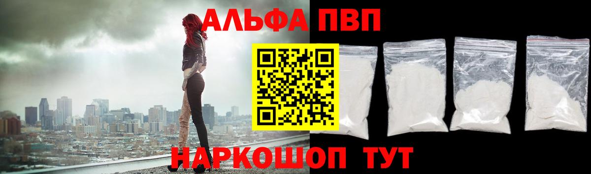 Альфа ПВП СК Котлас
