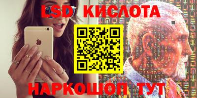 стаф Кинель