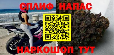 стаф Кинель