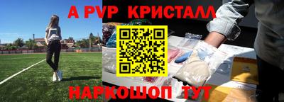 стаф Кинель