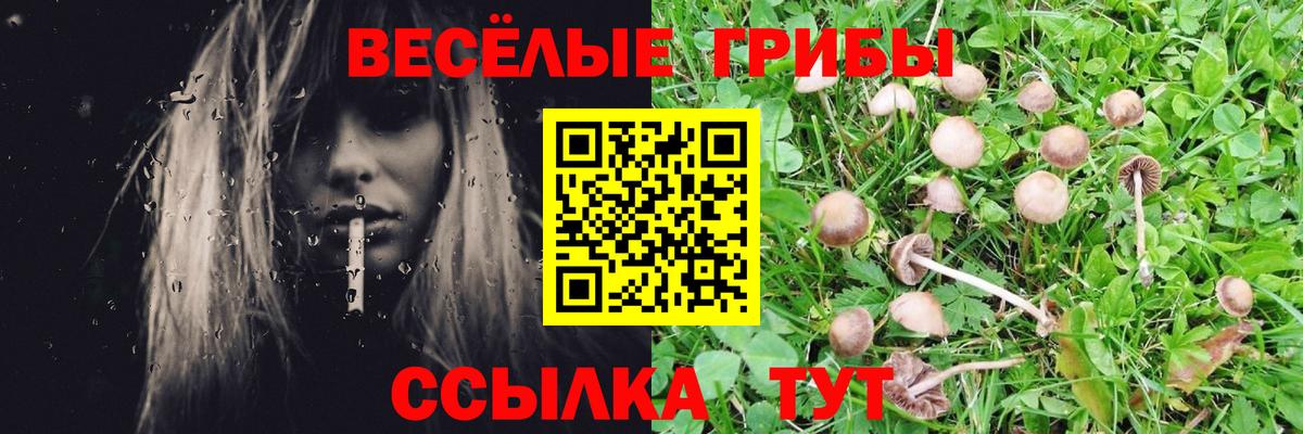 Галлюциногенные грибы GOLDEN TEACHER Котлас