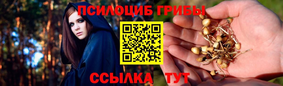 Галлюциногенные грибы мицелий  Вход с VPN  Котлас 